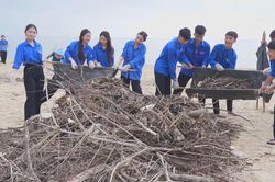 H&agrave;ng trăm người chung tay l&agrave;m sạch b&atilde;i biển nổi tiếng của Quảng Trị