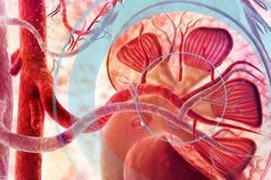Hy vọng về thuốc trị dứt điểm chứng vi&ecirc;m thận lupus chết người bị dập tắt?