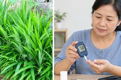 Người bệnh đ&aacute;i th&aacute;o đường uống nước l&aacute; dứa c&oacute; gi&uacute;p kiểm so&aacute;t đường huyết?