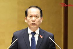 Cấm tham gia đấu gi&aacute; quyền sử dụng đất ở đối với c&aacute; nh&acirc;n tr&uacute;ng đấu gi&aacute; nhưng 'bỏ cọc'