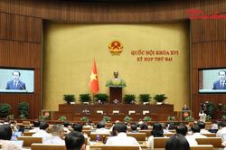 Siết điều kiện nhận con nuôi, bảo đảm môi trường sống an toàn cho trẻ
