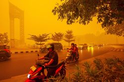 V&igrave; sao ch&aacute;y rừng ở Indonesia lại đe dọa cả Đ&ocirc;ng Nam &Aacute;?