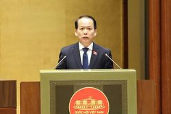 Dự &aacute;n Luật Đấu gi&aacute; t&agrave;i sản (sửa đổi):Ngăn chặn triệt để t&igrave;nh trạng 'c&ograve; mồi', bổ sung chế t&agrave;i với h&agrave;nh vi 'bỏ cọc' v&agrave; trục lợi đấu gi&aacute;