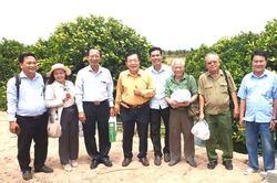 Th&iacute;ch th&uacute; với vườn mận hồng S&acirc;n Ti&ecirc;n thu về h&agrave;ng chục tỉ đồng mỗi năm ở xứ C&ugrave; Lao Dung