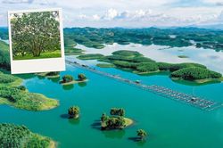 Đ&aacute;nh thức tiềm năng du lịch Th&aacute;c B&agrave; từ chuỗi sự kiện văn h&oacute;a nổi bật
