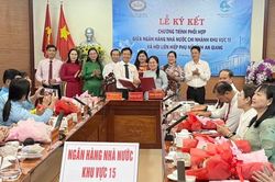 An Giang kết nối t&iacute;n dụng, hỗ trợ phụ nữ ph&aacute;t triển kinh tế bền vững