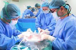 Sửa đổi Luật Hiến, gh&eacute;p tạng: Đề xuất nhiều ch&iacute;nh s&aacute;ch mới
