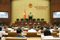 Sửa đổi Luật Nu&ocirc;i con nu&ocirc;i: Siết điều kiện nhận con nu&ocirc;i, ngăn trục lợi bất hợp ph&aacute;p
