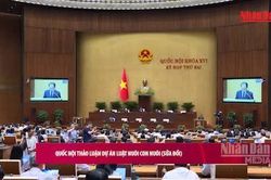 [Video] Quốc hội thảo luận dự án Luật Nuôi con nuôi (sửa đổi)