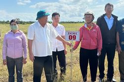 Đắk Lắk: Tiếp sức để người dân an cư lạc nghiệp nơi biên giới Ia Rvê