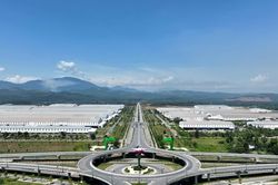 Cần những 'sếu đầu đàn' đủ mạnh
