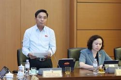 Đề xuất nghi&ecirc;m cấm mọi h&agrave;nh vi m&ocirc;i giới việc nhận nu&ocirc;i con nu&ocirc;i tr&aacute;i ph&aacute;p luật