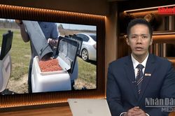 [Video] Tiêu điểm 19/10: Vì sao Mỹ nối lại nhập khẩu phân bón Belarus?