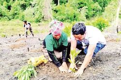 Danh sách thôn vùng đồng bào dân tộc thiểu số và miền núi, thôn đặc biệt khó khăn giai đoạn 2026-2030 tại 5 tỉnh