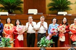 Tạo mọi điều kiện thuận lợi để nữ đại biểu Quốc hội ph&aacute;t huy năng lực, tr&iacute; tuệ, sức s&aacute;ng tạo