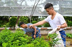 Doanh trại xanh sạch đẹp nhờ hội thi 4 chuy&ecirc;n ng&agrave;nh hậu cần
