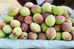 Đ&agrave;o m&egrave;o Sơn La đắt h&agrave;ng khi bước v&agrave;o ch&iacute;nh vụ