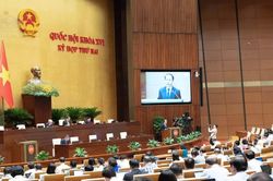 C&aacute;c c&aacute; nh&acirc;n c&oacute; tr&igrave;nh độ đại học trở l&ecirc;n đều c&oacute; thể trở th&agrave;nh đấu gi&aacute; vi&ecirc;n