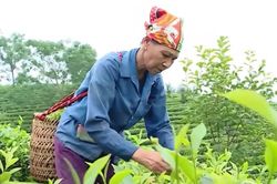 'Chiếc neo' để người dân không tái nghèo