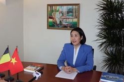 Tổng B&iacute; thư, Chủ tịch nước T&ocirc; L&acirc;m thăm ch&iacute;nh thức Li&ecirc;n minh ch&acirc;u &Acirc;u (EU) v&agrave; Vương quốc Bỉ: Kiến tạo động lực cho hợp t&aacute;c song phương v&agrave; đa phương