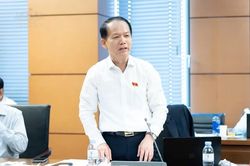 Bộ trưởng Tư pháp lý giải mức đặt trước 20-50% khi đấu giá đất