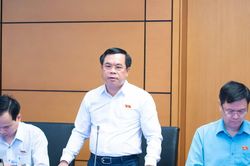 Khi đấu gi&aacute; trực tuyến gặp sự cố: Kh&ocirc;ng thể để người tham gia tự g&aacute;nh thiệt hại