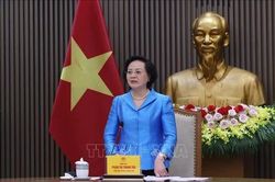 Ph&oacute; Thủ tướng Phạm Thị Thanh Tr&agrave;: Kh&ocirc;ng lấy số lượng bi&ecirc;n chế hiện c&oacute; để hợp thức h&oacute;a vị tr&iacute; việc l&agrave;m