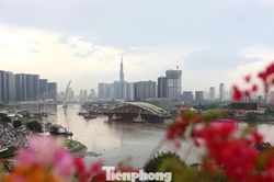 Đi h&agrave;ng trăm c&acirc;y số xem lai dắt 'l&aacute; dừa th&eacute;p' 3.400 tấn về trung t&acirc;m TPHCM