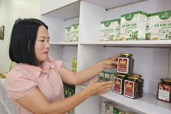 Từ trắng tay sau bão, vợ chồng Quảng Trị gây dựng HTX dược liệu doanh thu 10 tỷ