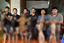 Cặp vợ chồng hờ lập đường d&acirc;y trộm cắp, ti&ecirc;u thụ 10 tấn thịt ch&oacute; khắp c&aacute;c tỉnh