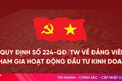 [Infographic] Quy định 224-QĐ/TW về đảng vi&ecirc;n tham gia hoạt động đầu tư kinh doanh cụ thể thế n&agrave;o?