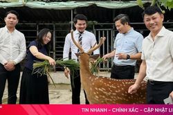 Từ sản phẩm OCOP đến trải nghiệm du lịch