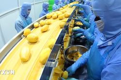 Việt Nam-Liên minh châu Âu: Nâng chuẩn nông sản, thúc đẩy chuyển đổi xanh