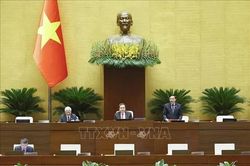 Quốc hội nghe trình bày 3 dự án luật