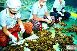 Bất ngờ về làng nghề chế biến con 'đặc sản' thu về hàng trăm tỷ đồng mỗi năm
