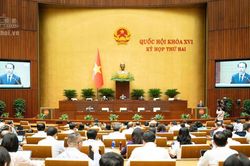 Luật Nu&ocirc;i con nu&ocirc;i (sửa đổi): Bổ sung cấm người c&oacute; &aacute;n t&ugrave; treo nhận con nu&ocirc;i