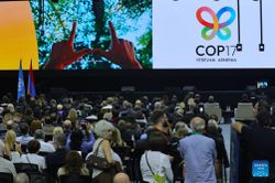 COP17 khai mạc tại Armenia, đ&aacute;nh gi&aacute; tiến độ to&agrave;n cầu về đa dạng sinh học