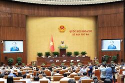 Dự án Luật Luật sư (sửa đổi): Phát triển thị trường dịch vụ pháp lý minh bạch, cạnh tranh lành mạnh