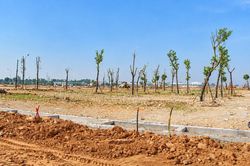 Hoàn thiện hạ tầng, bàn giao khu tái định cư Đông Cứu 1