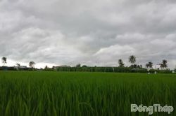 Đồng Th&aacute;p: Dự b&aacute;o tiếp tục c&oacute; mưa lớn tr&ecirc;n diện rộng