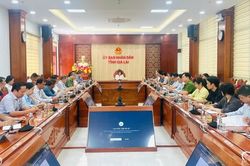 Họp r&agrave; so&aacute;t c&ocirc;ng t&aacute;c chuẩn bị Festival Cồng chi&ecirc;ng - Tuần lễ Hoa D&atilde; quỳ - Chư Đang Ya năm 2026