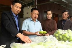 Gieo niềm tin &ndash; nối d&agrave;i đầu ra n&ocirc;ng sản