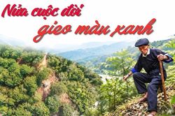 Nửa cuộc đời gieo màu xanh