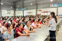 N&acirc;ng cao kiến thức ph&aacute;p luật cho đo&agrave;n vi&ecirc;n, người lao động