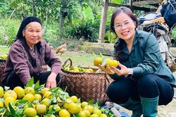 Sức trẻ trong xây dựng cấp ủy, chính quyền cơ sở