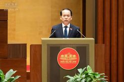 Tr&uacute;ng đấu gi&aacute; đất nhưng bỏ cọc c&oacute; thể bị 'cấm cửa' tới 5 năm