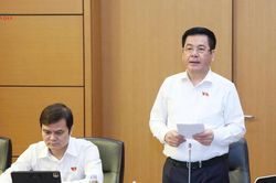 Ph&oacute; Chủ tịch Quốc hội Nguyễn Hồng Di&ecirc;n: Kh&ocirc;ng thể mặc nhi&ecirc;n coi tham dự đấu gi&aacute; l&agrave; đồng &yacute; trả gi&aacute; khởi điểm