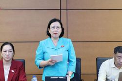 Bảo đảm quyền trẻ em, ngăn chặn lợi dụng việc nu&ocirc;i con nu&ocirc;i để trục lợi