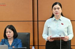 L&agrave;m r&otilde; tr&aacute;ch nhiệm khi xảy ra sự cố đấu gi&aacute; trực tuyến