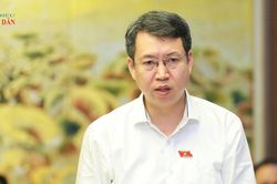 Ph&acirc;n định r&otilde; thẩm quyền trong quy tr&igrave;nh tổ chức đấu gi&aacute;